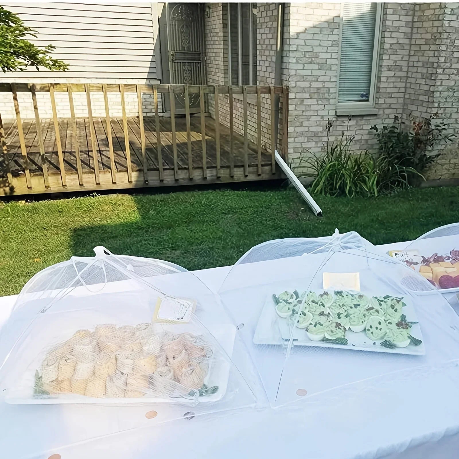 Pop-Up Mesh Food Cover – Foldable, Washable, Bug-Proof
